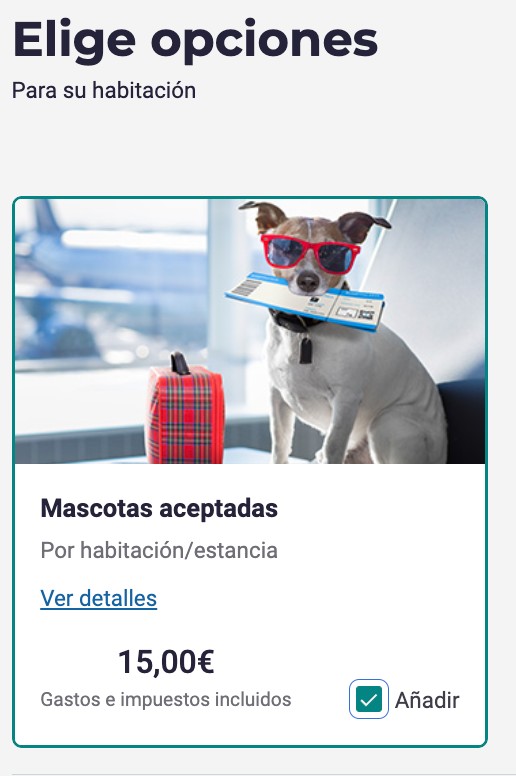 Hoteles que admiten mascotas en All Accor